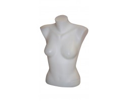 Female Torso